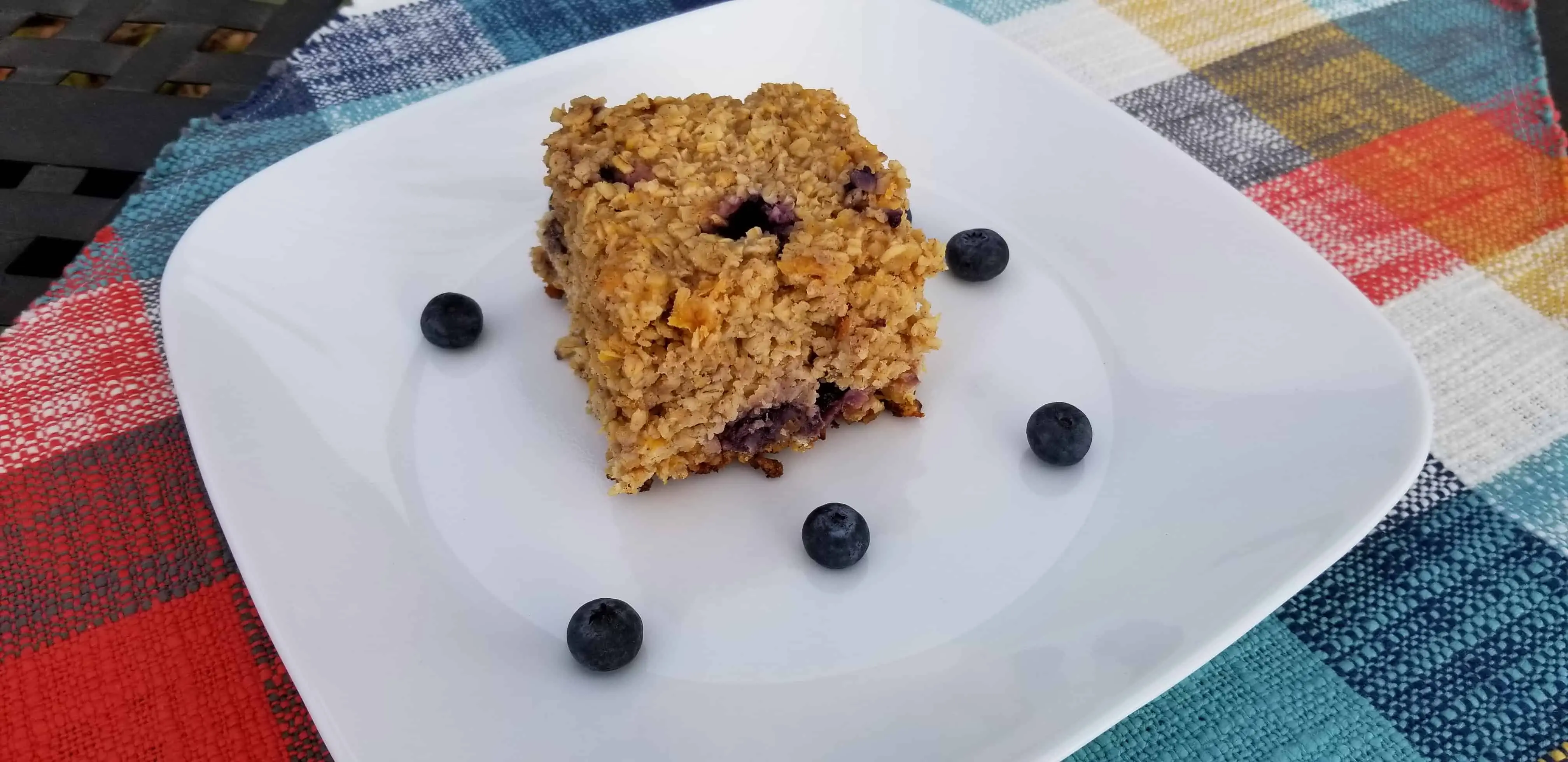 This baked oatmeal with fruit is so delicious and so hearty, it will become a favorite dish! Get the recipe on Made in a Pinch and follow us on Pinterest for more great recipes and helpful tips!