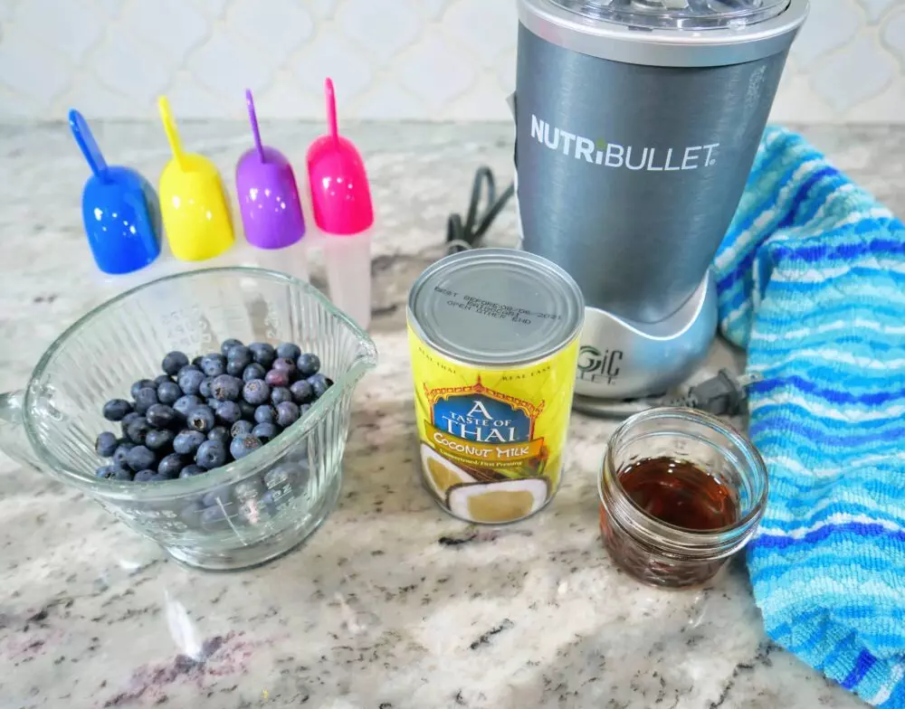 blueberry popsicle recipe ingredients