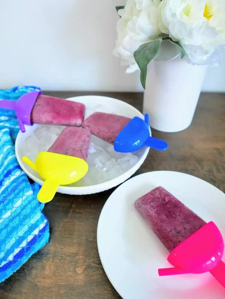 blueberry popsicles on ice