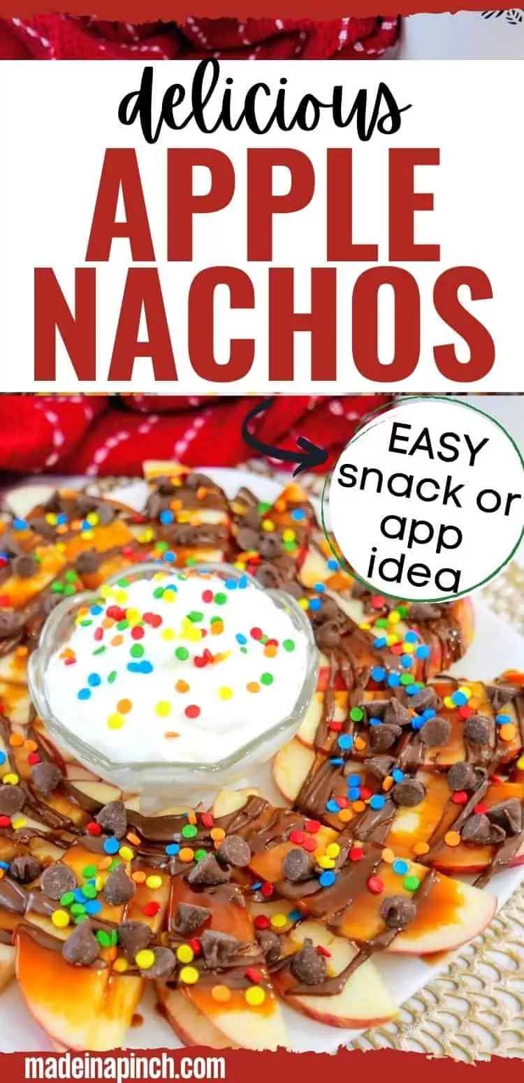 apple nachos pin image