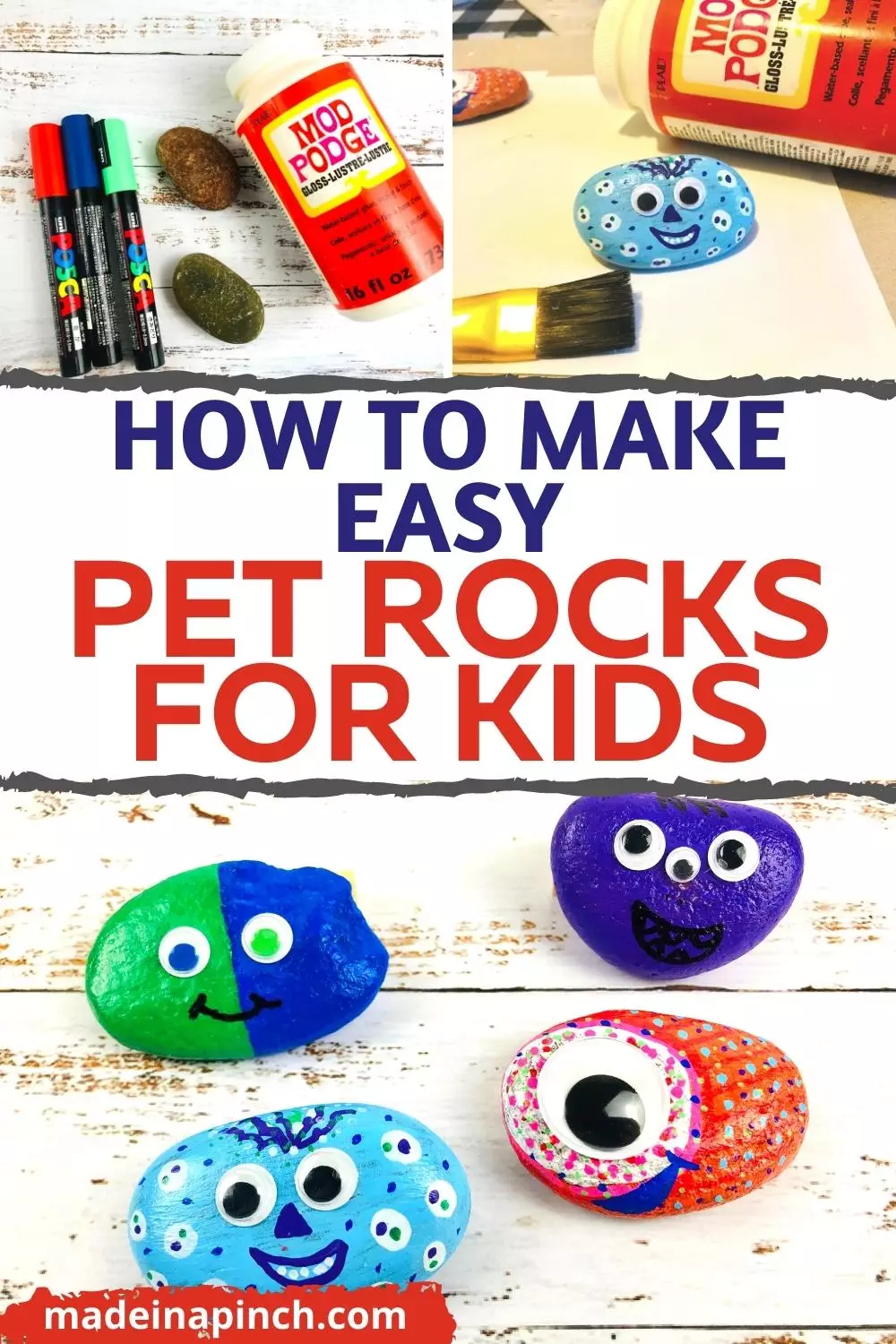 easy pet rocks craft for kids pin image