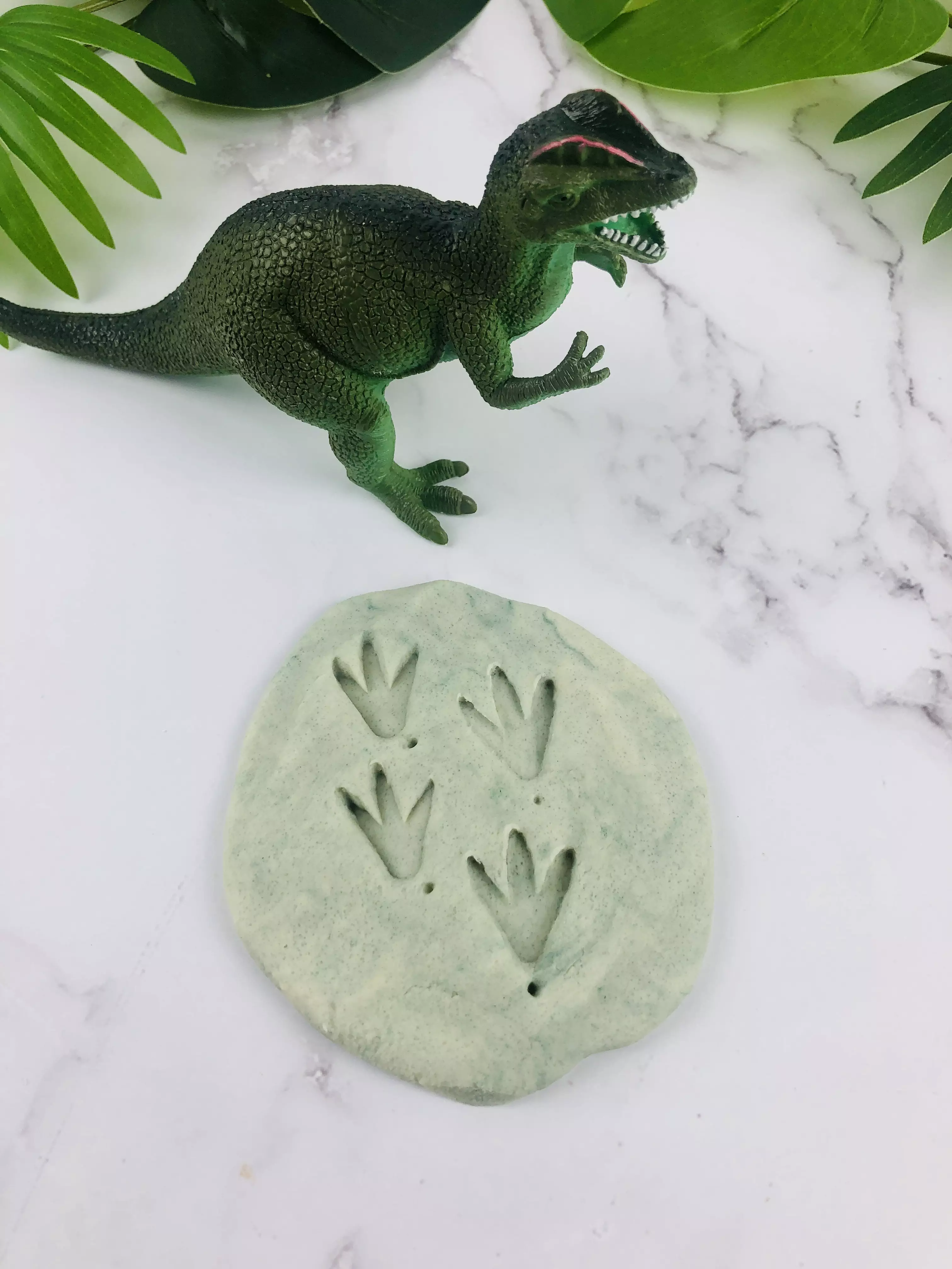 salt dough dinosaur fossils