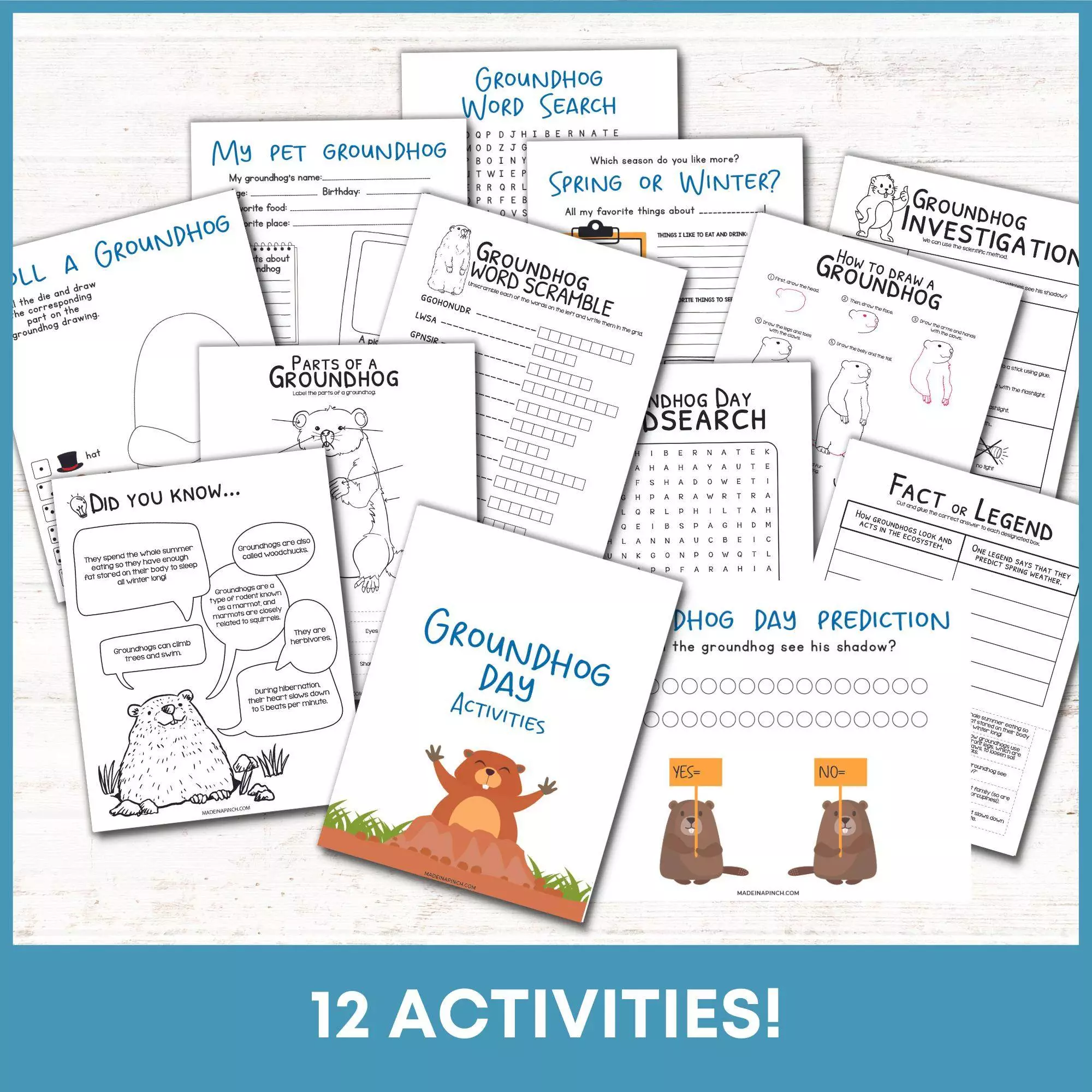 Groundhog Day activities pack square mockup