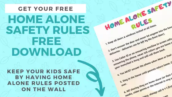 stay home alone safety rules free download email sign up banner