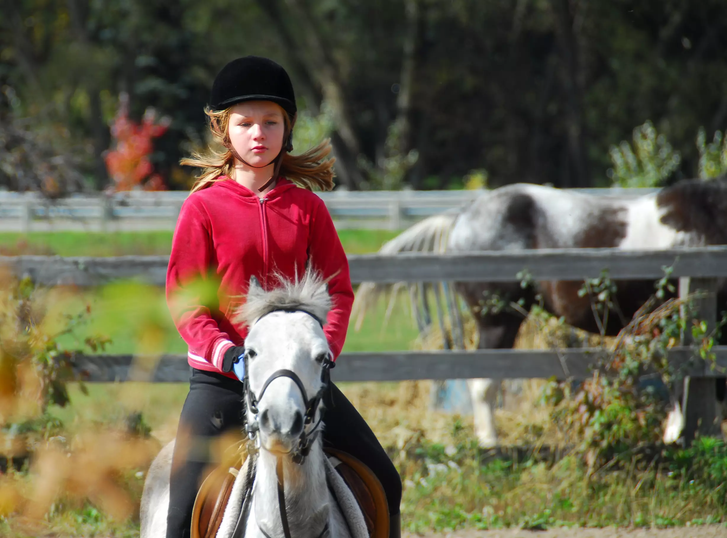 girl horseback riding