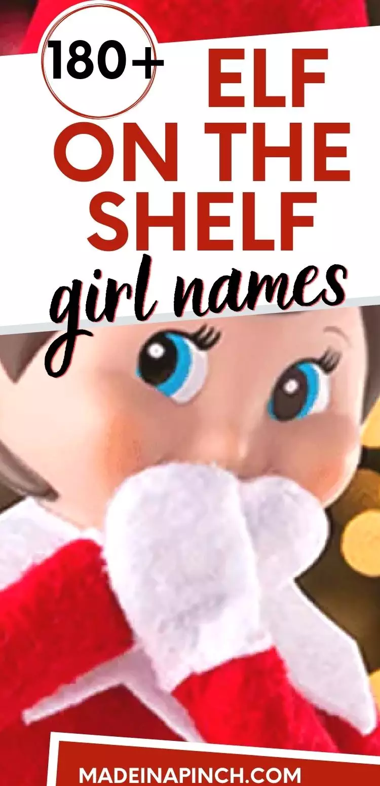 Girl elf on the shelf names pin