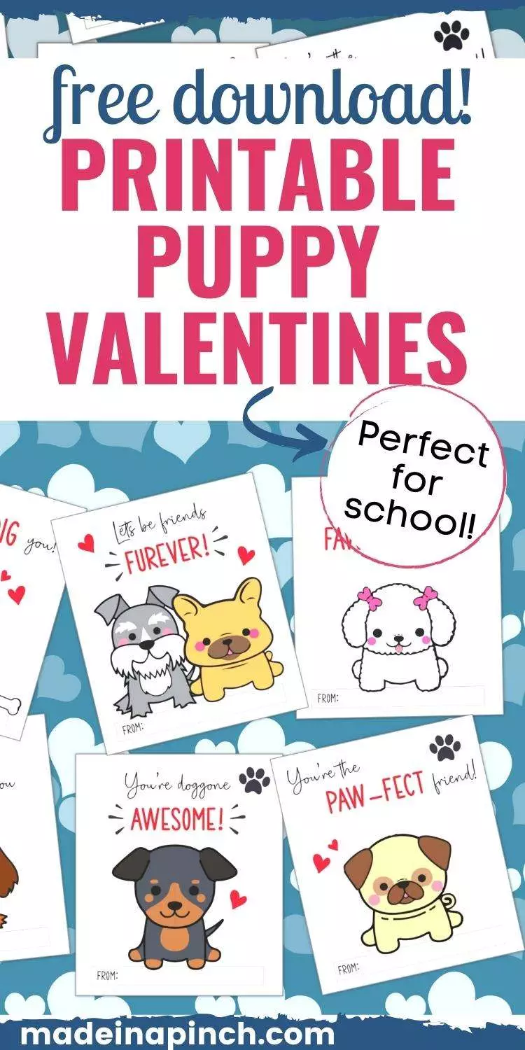 cute dog valentine cards pin image