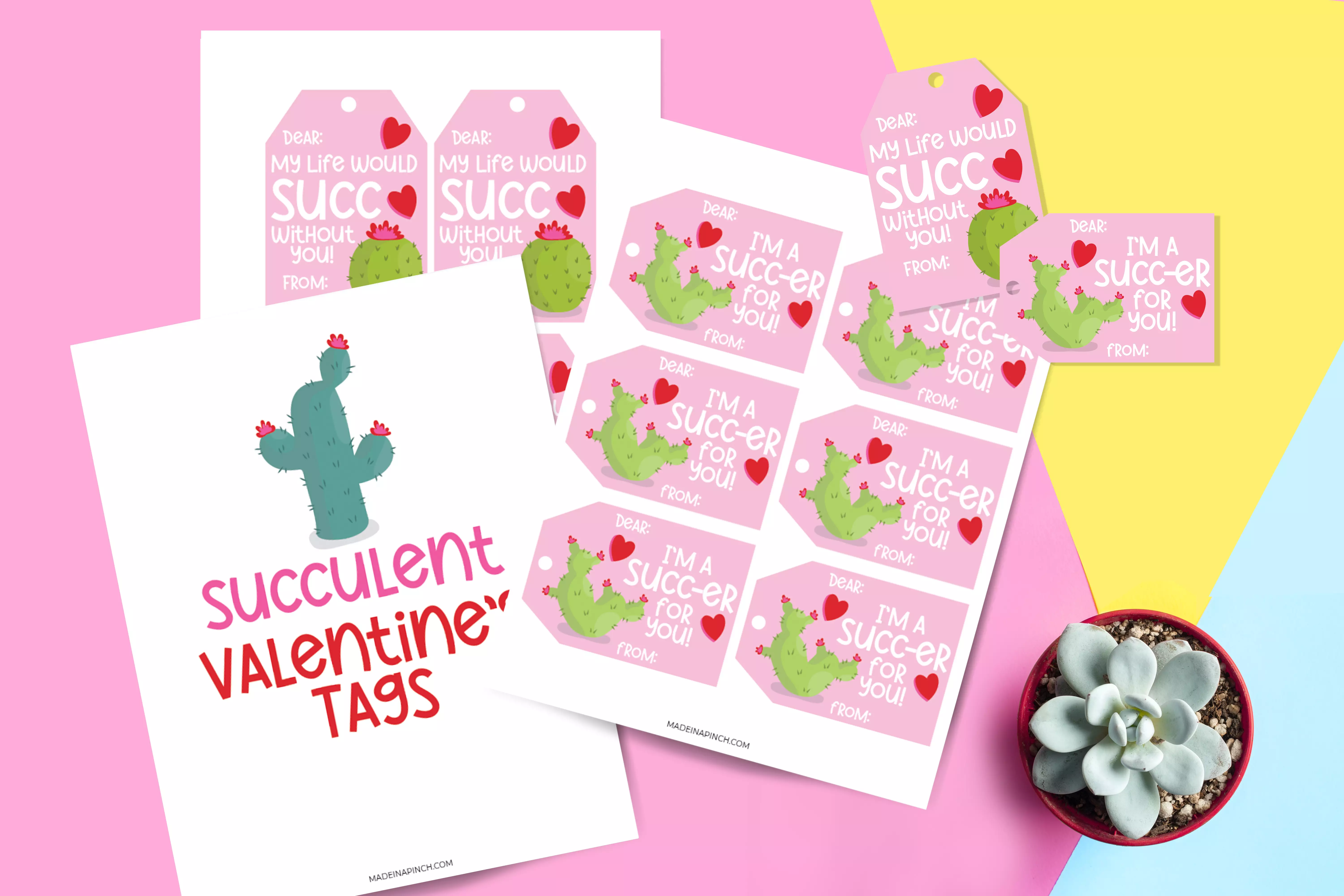 printable succulent tags