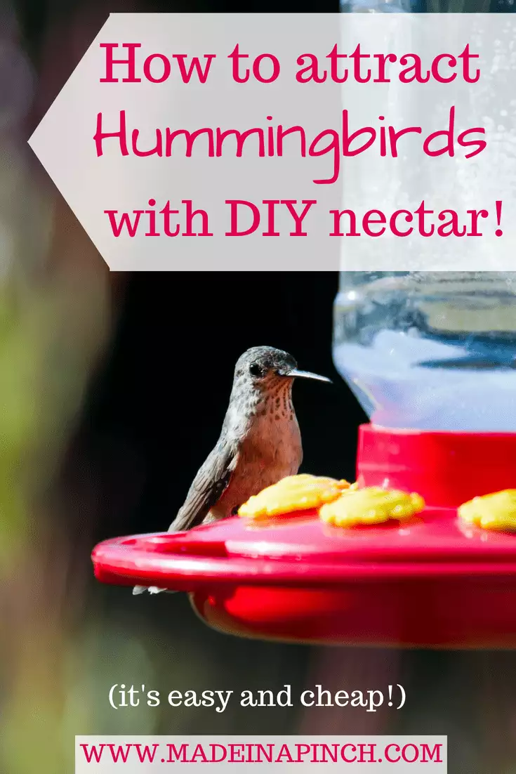 Hummingbird nectar comes from the store full of red dye and is expensive. Making your own hummingbird food is fast, healthier and way cheaper! For this recipe and more helpful tips visit Made in a Pinch and follow us on Pinterest!