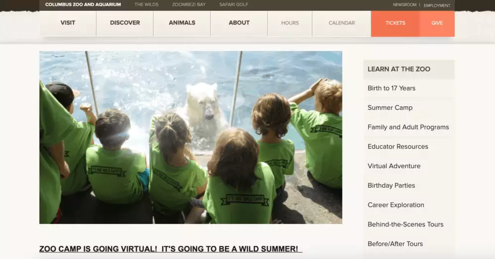 25 Addictively Fun Virtual Summer Camp Activities Made In A Pinch