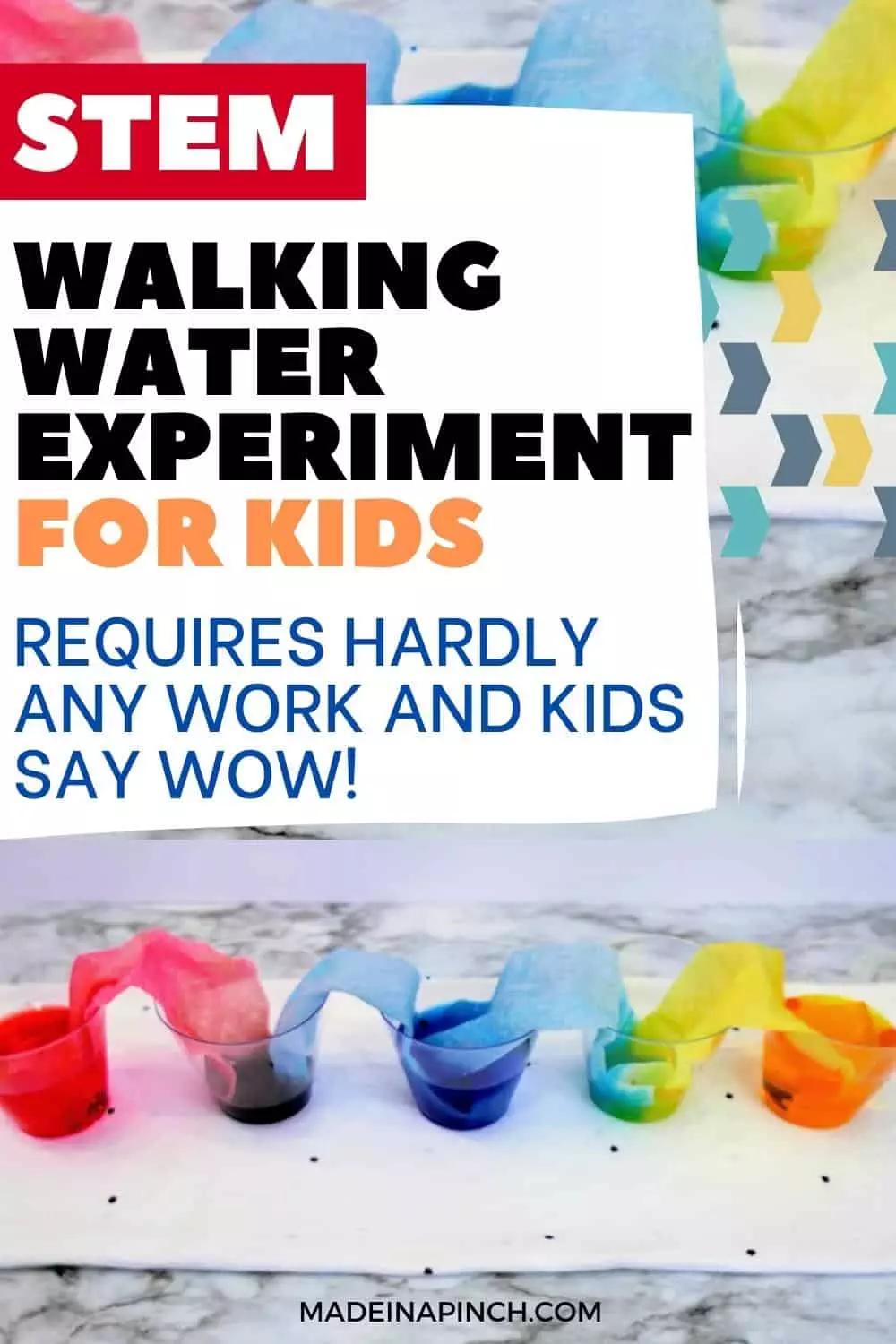 walking water experiment for kids pin image