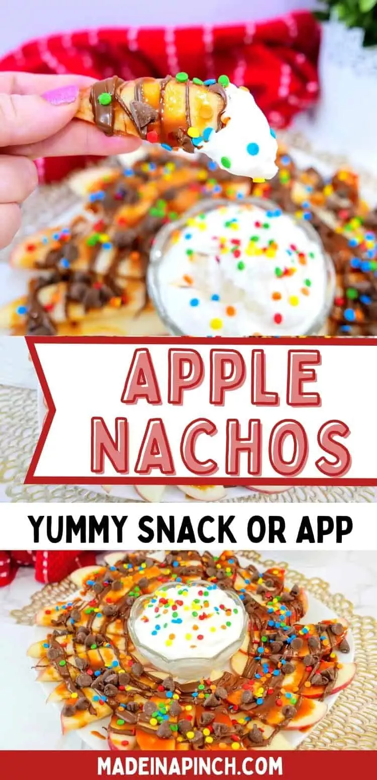 Make this super easy Apple Nachos snack for your kids. It
