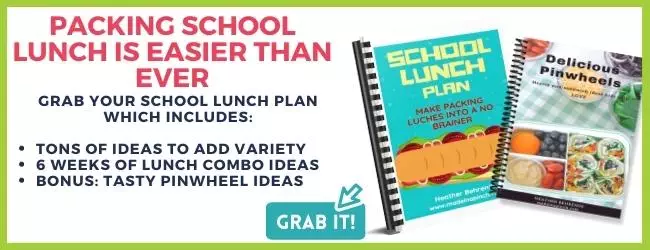 school lunch plan offer mockup