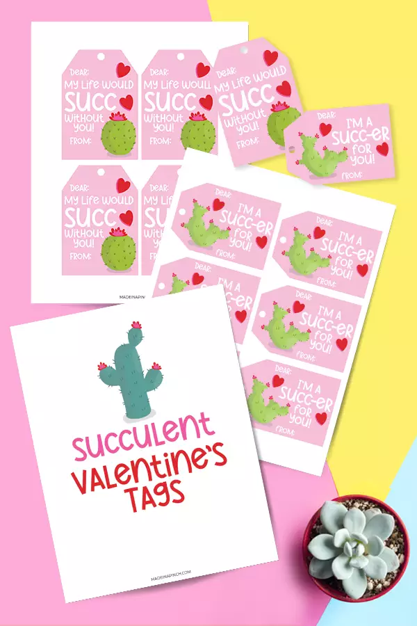 printable succulent tags