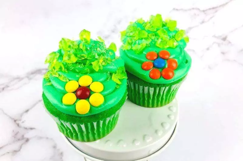 Encanto cupcakes