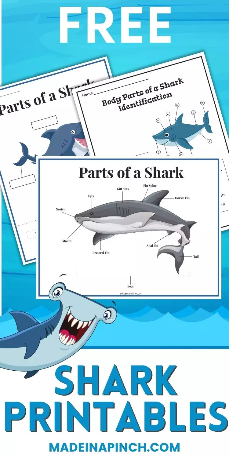Free shark printables pin image