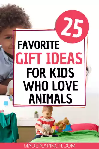 Pinterest Pin image for gifts for kids who love animals