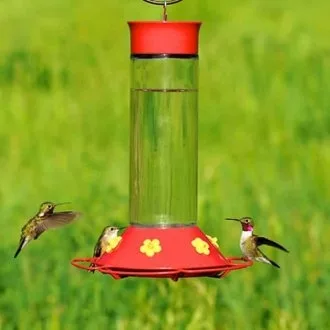 hummingbird food and feeder