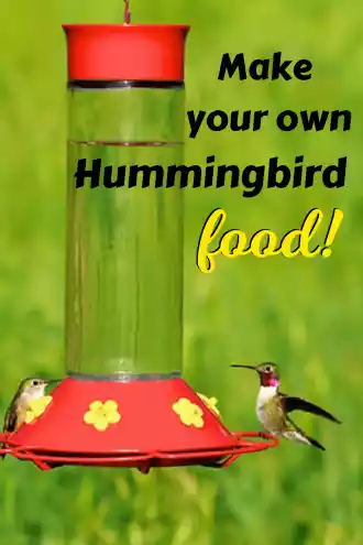Make your own hummingbird food to attract these amazing birds to your yard. For more tips and recipes visit Made in a Pinch and follow us on Pinterest!